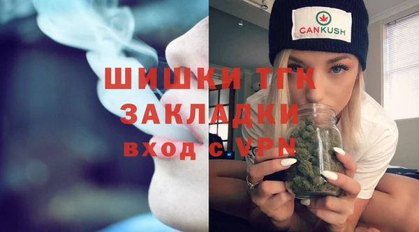 стафф Верхний Тагил