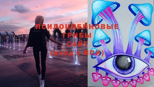 стафф Верея
