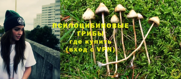 стафф Верхний Тагил