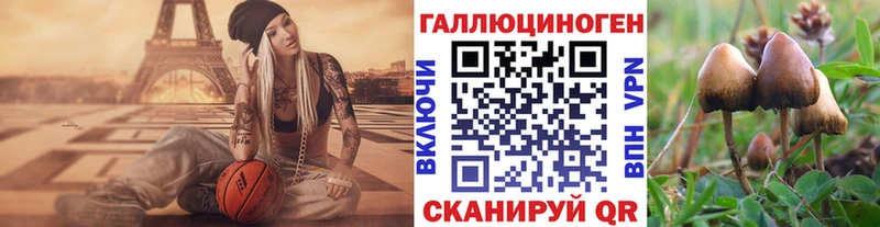 Псилоцибиновые грибы ЛСД  Щигры 